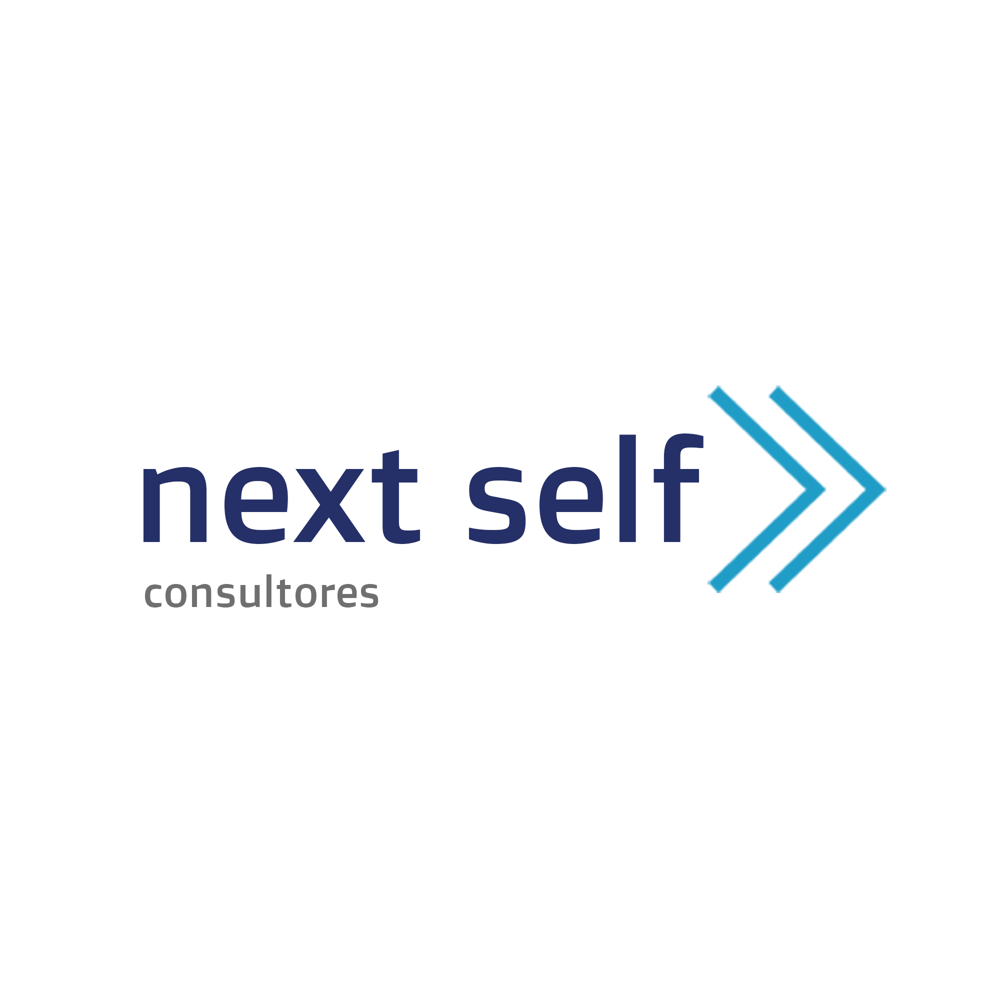 Next Self Consultores